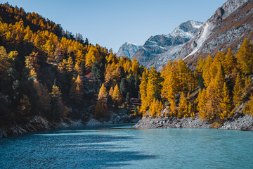 alpine landscape of a blue lake and mountains during autumn