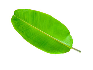 Banana Leaf isolated on transparent png