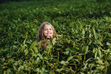 A cute girl peeks out from the soybean field and smiles enigmatically. The child explores nature. The child has fun outdoors. Soybean field at sunset.