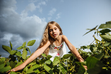 Funny cute little girl looking into the camera lens through green soybean leaves against the blue sky. Wide angle portrait of a happy smiling child. Children explore nature and the world.