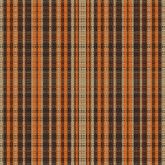 Tartan Plaid Pattern. Check Plaid.