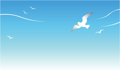 爽やかな青空とカモメ