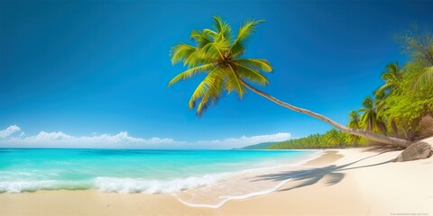 Tropical beach with trees and teal waters with blue skies
