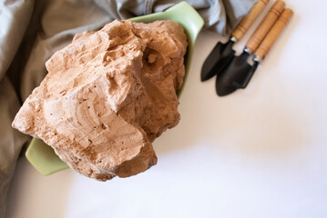 Edible brown clay stone with small garden shovels on a white background minimal