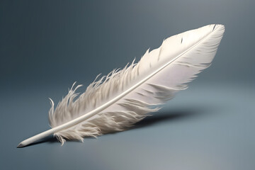 white feather on isolated background