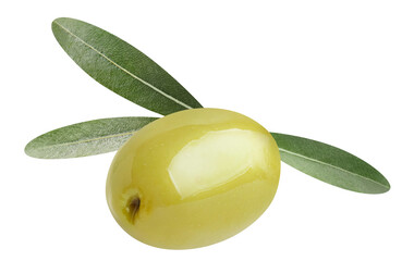 Delicious olive cut out