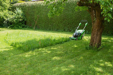 garden lawn backyards with green hedge around. unfinished work with gas mower