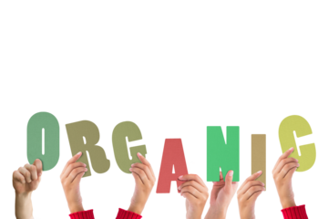 Digital png illustration of hands holding organic text letters on transparent background