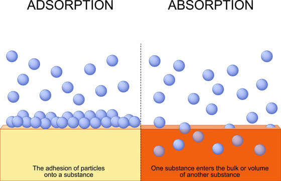 Difference between adsorption and absorption