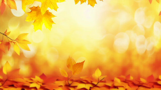 Colorful universal natural autumn background for design with orange leaves and blurred background.