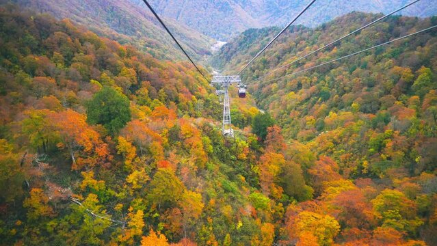 【群馬県・利根郡・みなかみ町】秋の谷川岳ロープウェイ　
Ride the Tanigawadake Ropeway and enjoy the autumn leaves - Gunma, Japan
