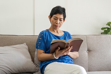 Portrait of attractive focused cheerful elderly woman sitting on divan reading book pastime daydream at home house indoor