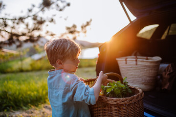 Little boy giving picnic basket in their electric car.