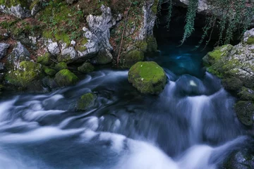 Foto auf Acrylglas Waldfluss river in the forrest flows out of a cave with waterfall