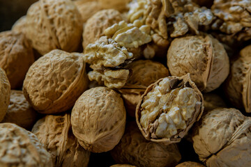 Raw brown organic walnut kernels with shell on rustic wooden table. Selected focus