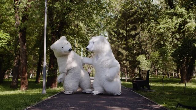 A couple of a giants polar bears puppets doll dances and fighting in a green park, in a background of green trees, in summer, outdoors. The concept of recreation, children's party