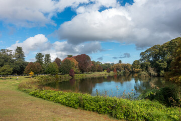 Fototapeta na wymiar Autumn landscape overlooking the Willow Pond, in Centennial Park, Sydney, Australia. Tranquil scene with clouds in the sky, colored trees reflecting on the water and people in the distance.