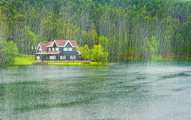 Fototapete bei efototapeten.de bestellen   