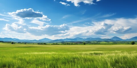 Fototapeta na wymiar Panoramic natural landscape with green grass field, blue sky with clouds and and mountains in background. Panorama summer spring meadow. Shallow depth of field. Generative AI.
