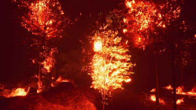 Intense flames from a massive forest fire