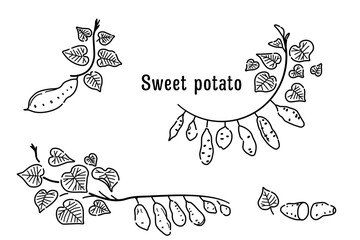 さつまいものイラスト・フレームセット（線画）