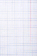 A white sheet in a cage from a notebook.