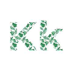 Fototapeta na wymiar Leaf illustration vector icon in alphabet letters, modern logo, minimalist logo