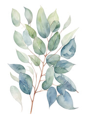 watercolor of branch eucalyptus leaves  ,generative ai