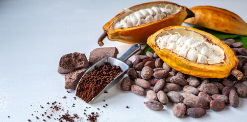 Cut in half ripe cacao pods with white cocoa seed and brown cocoa powder on white background