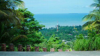 Beautiful blue sky and clouds with seaside trees. Plain landscape background for summer posters. Best view for vacation.