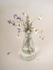Withered flowers in a glass vase on table