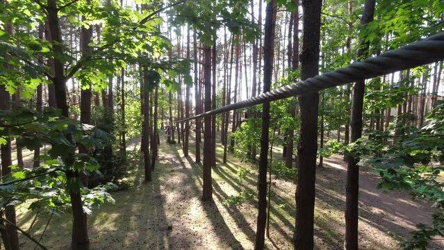 Palanga, Lithuania - 2023: young woman girl sliding along zipline in fir tree forest in summer. Lithuania adventure park in HBH.