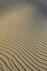 夏の鳥取砂丘とその紋様 鳥取県 鳥取砂丘