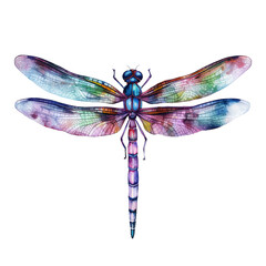 Watercolor Dragonfly Illustration | Generative AI