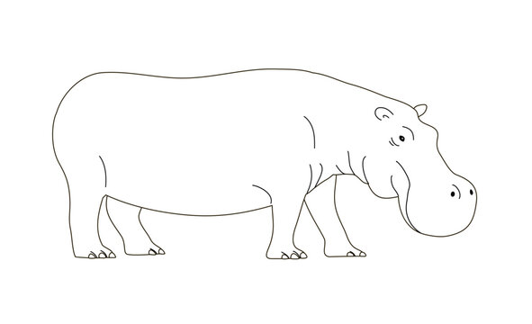 Large adult hippo. African wild dangerous animal. Herbivorous mammal. Flat vector illustration. Black and white outline. Coloring page for kids