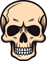 hand drawn skull icon illustration, human skull icon vector graphic clipart