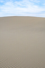 Obraz premium 夏の鳥取砂丘とその紋様 鳥取県 鳥取砂丘