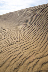 夏の鳥取砂丘とその紋様 鳥取県 鳥取砂丘