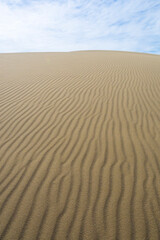 夏の鳥取砂丘とその紋様 鳥取県 鳥取砂丘