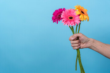 pink and yellow gerbera flowers in the outstretched hand of a man