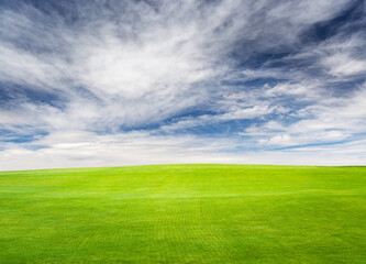 Landscape with green grass field under a blue sky
