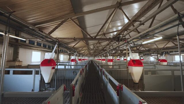 Empty pig pens, new pig farm, pig cells, pig farm cells