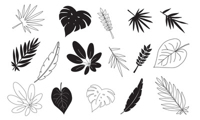 Vector illustration of silhouettes with tropical leaves