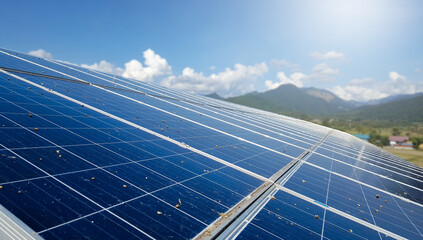 Photovoltaic panel becomes dirty which caused by bird droppings, concept is to clean solar cell...