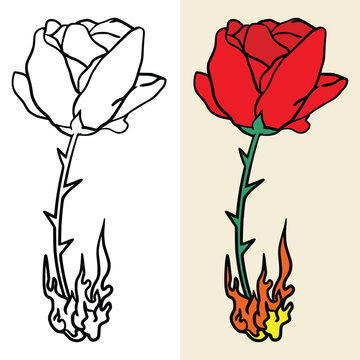 The burning rose. Editable graphic elements vector file for all your graphic needs.
