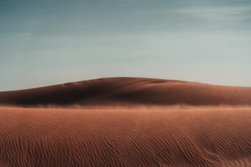 Nature's masterpiece: Intricate patterns sculpted by wind upon the desert sands, a captivating display of rhythmic curves and delicate ripples.