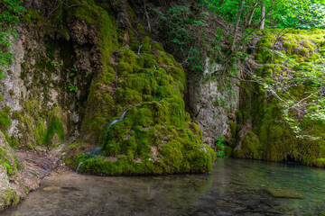 Bad Urach waterfalls in summer
