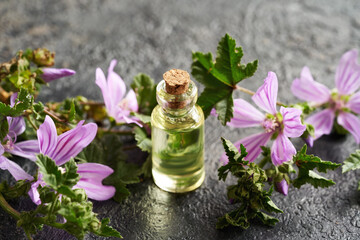 Obraz na płótnie Canvas A bottle of common mallow essential oil with malva sylvestris flowers