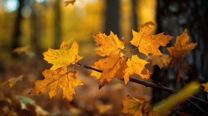 Fototapeta premium close up of yellow maple leaves in autumn. the cozy season. Generative AI