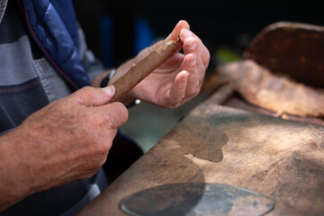 Close up of hands making cigars. Process of making traditional cigars from tobacco leaves with your hands using a hand device. Tobacco leaves for making cigars.
